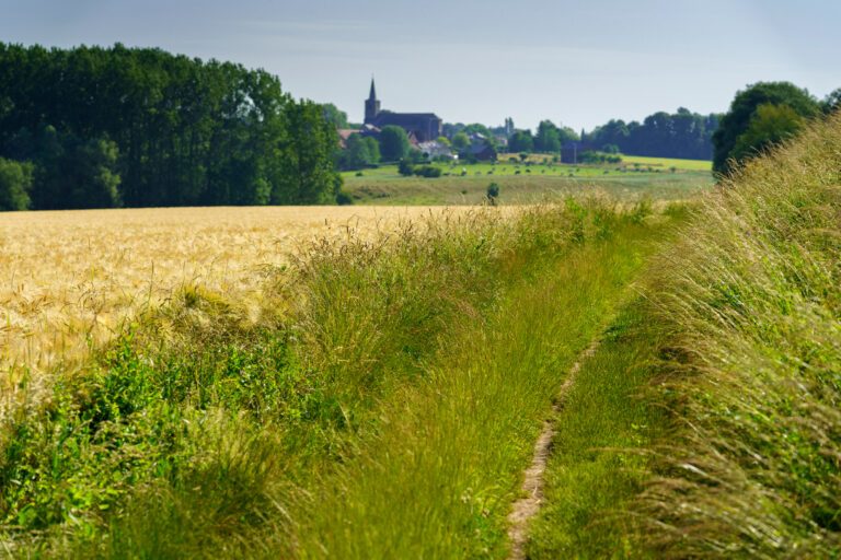 Campagne de Sombreffe