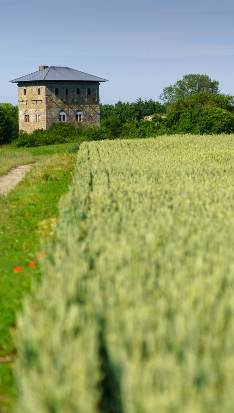 Que visiter à Jemeppe-sur-Sambre ?