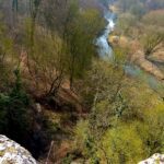 Vue du haut de la grotte.