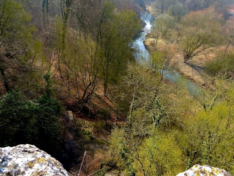 Vue du haut de la grotte.